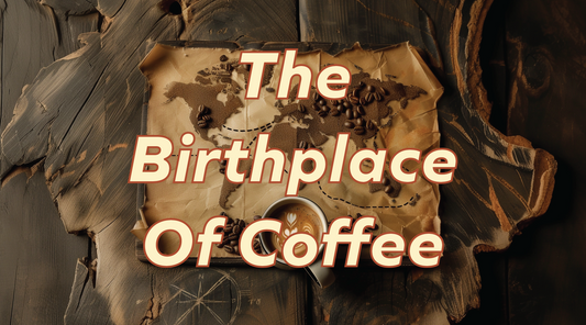 The Birthplace of Coffee: Origin and Cultivation